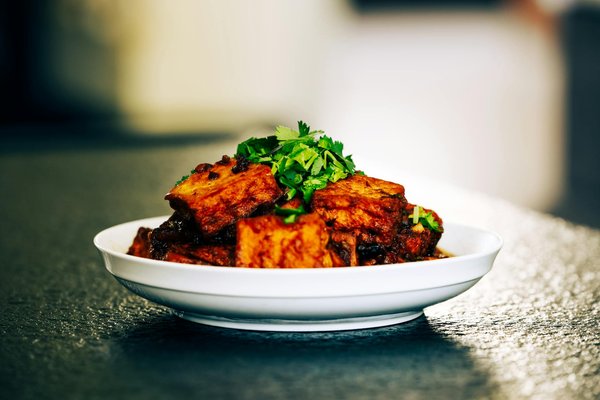 Todo lo que debes saber: consejos importantes para comprar un reptil en tu tienda de mascotas